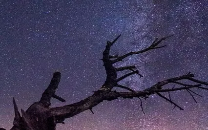 A Healing Journey - 777Hz