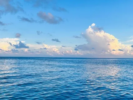 A Healing Meditation For Injured Tissues