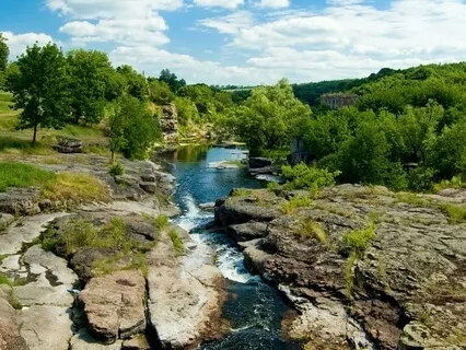 A Healthy And Resilient Immune System