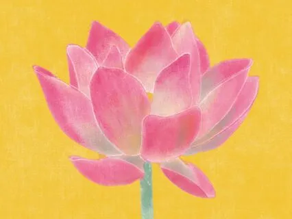 A Heart Of Gratitude