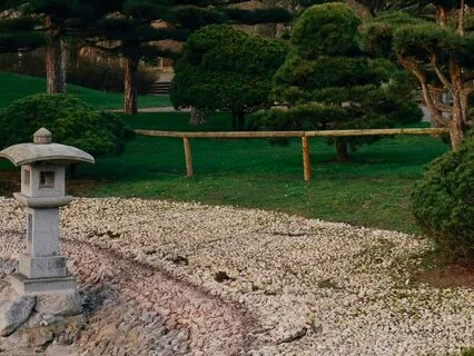 A Heartfelt Pause: A Meditation For Calm & Peace