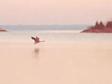 A Heartful of Unspoken Feelings - Orchestra