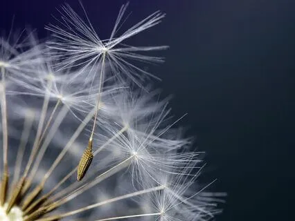 A Heavenly Place: Healing Music For Deep Rest