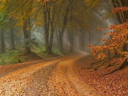 A High Holy Day Meditation For Returning