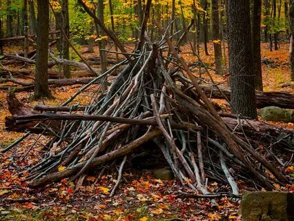 A House Is Built At Pooh Corner For Eeyore