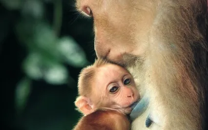 A Hug For Little You