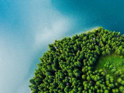 A Hug Is Like A Boomerang