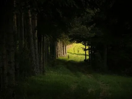 A Journey From Darkness To Light