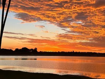 A Journey From Loneliness To Self Discovery.