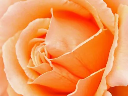 A Journey Into Deeper Self-Acceptance