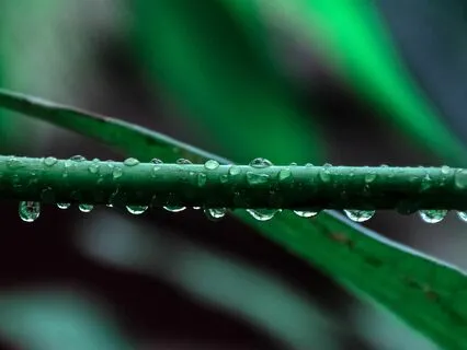 A Journey Into Relaxation