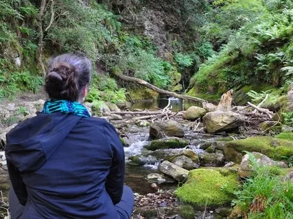 A Journey Into The Heart