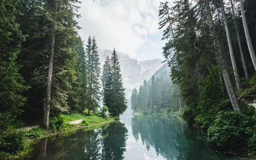 A Journey Into The Mountains