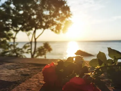 A Journey Of Expansion & Contraction