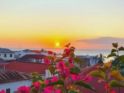 A Journey Of Gratitude