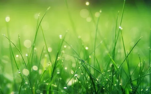 A Journey Of Peace & Protection 