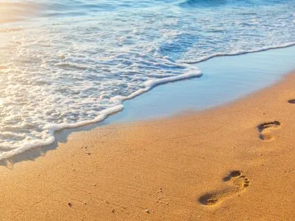 A Journey of Self-Forgiveness-Healing Within