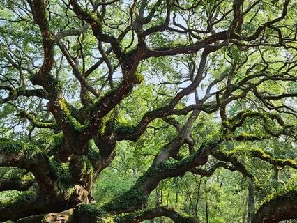 A Journey Of Self Love,  Stillness, Kindness And Gratitude