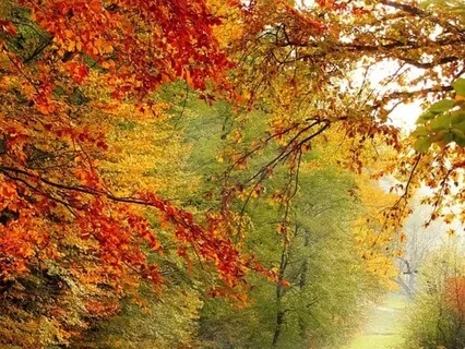 A Journey Of Serenity Relaxation Meditation
