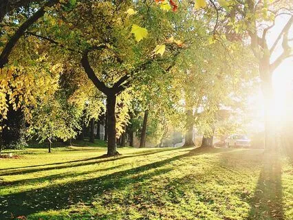 A Journey Of Spiritual Renewal: Chakra Cleansing Meditation