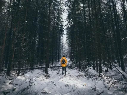 A Journey Through Nature