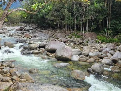 A Journey Through Nature