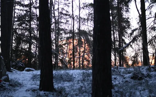 A Journey Through The 4 Elements