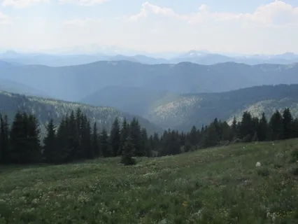 A Journey Through The Five Elements