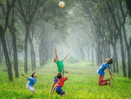 A Journey Through The Senses