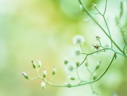 A Journey Through The Seven Chakras