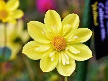 A Journey To Freedom From Obsessive Thoughts