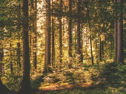 A Journey To Reclaiming Your Self Worth