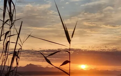 A Journey Toward Our Awareness - Tone Therapy