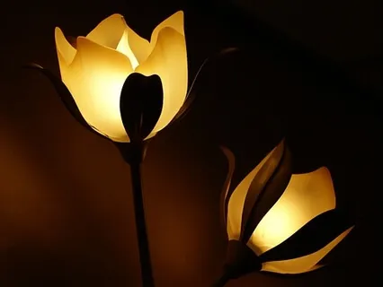 A Kid Shaped Flower: Bedtime Practice