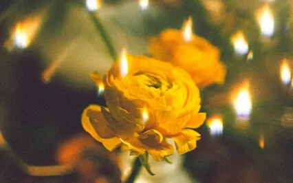 A Kind And Radical Slowing Down