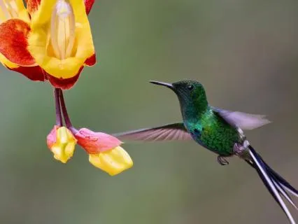 A Kinder Voice Within: Softening Self-Criticism