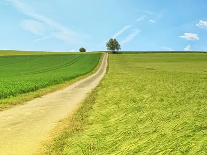 A Landscape Of Calm: Releasing Tension, Stress And Anxiety