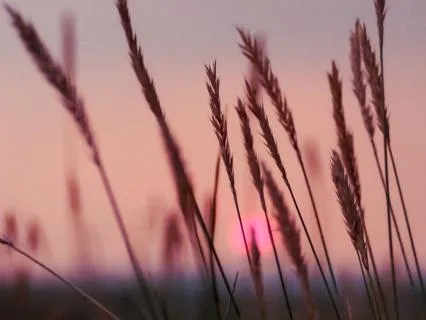 A Late Summer Pause: Reflect Before The Season Changes