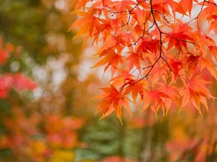 A Lesson In Kindness - Calm Piano Music