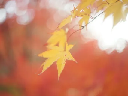 A Lesson In Letting Go