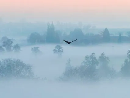 A Letter To A Teenage Grandchild