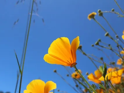 A Letter To Your Inner Child