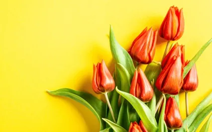 A Life Built Upon Thoughts & Illusions Is Never Secure