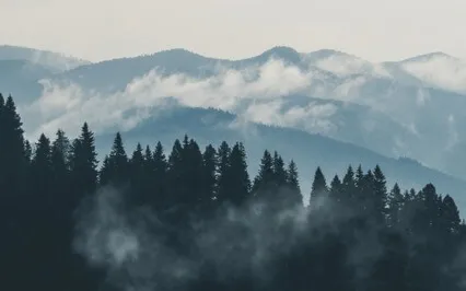 A Life Burdened With Thoughts Loses The Simplicity Of Living