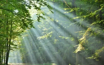 A Life Full OF "Me" Is In Distrust, Calculation, Speculation