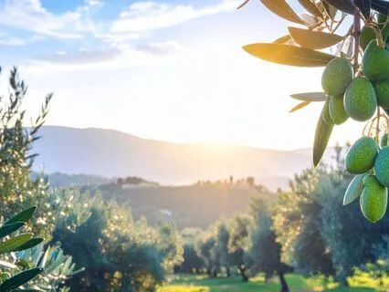 A Life That Flourishes — Psalm 128