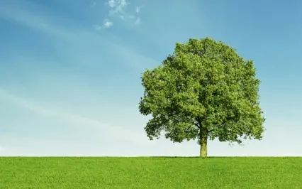 A Life Without Seeking Is Rewarding & Full of Beauty