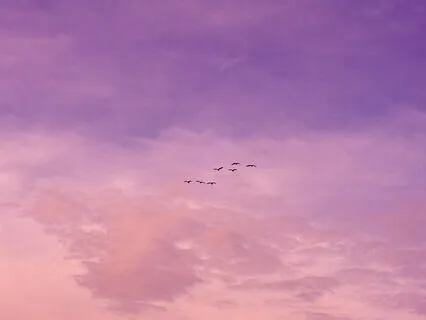 A Lifetime of Good Mornings