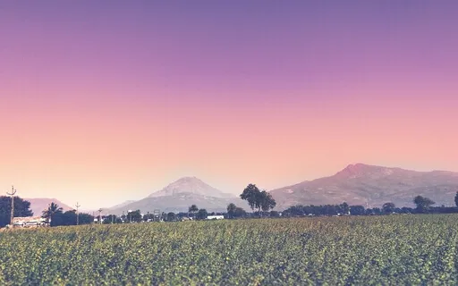 A Light In The Darkness 