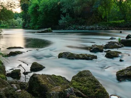 A Light Shower From Source: Sound Healing Meditation Music